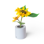 Artificial sunflower arrangement in modern white cylindrical vase on white background