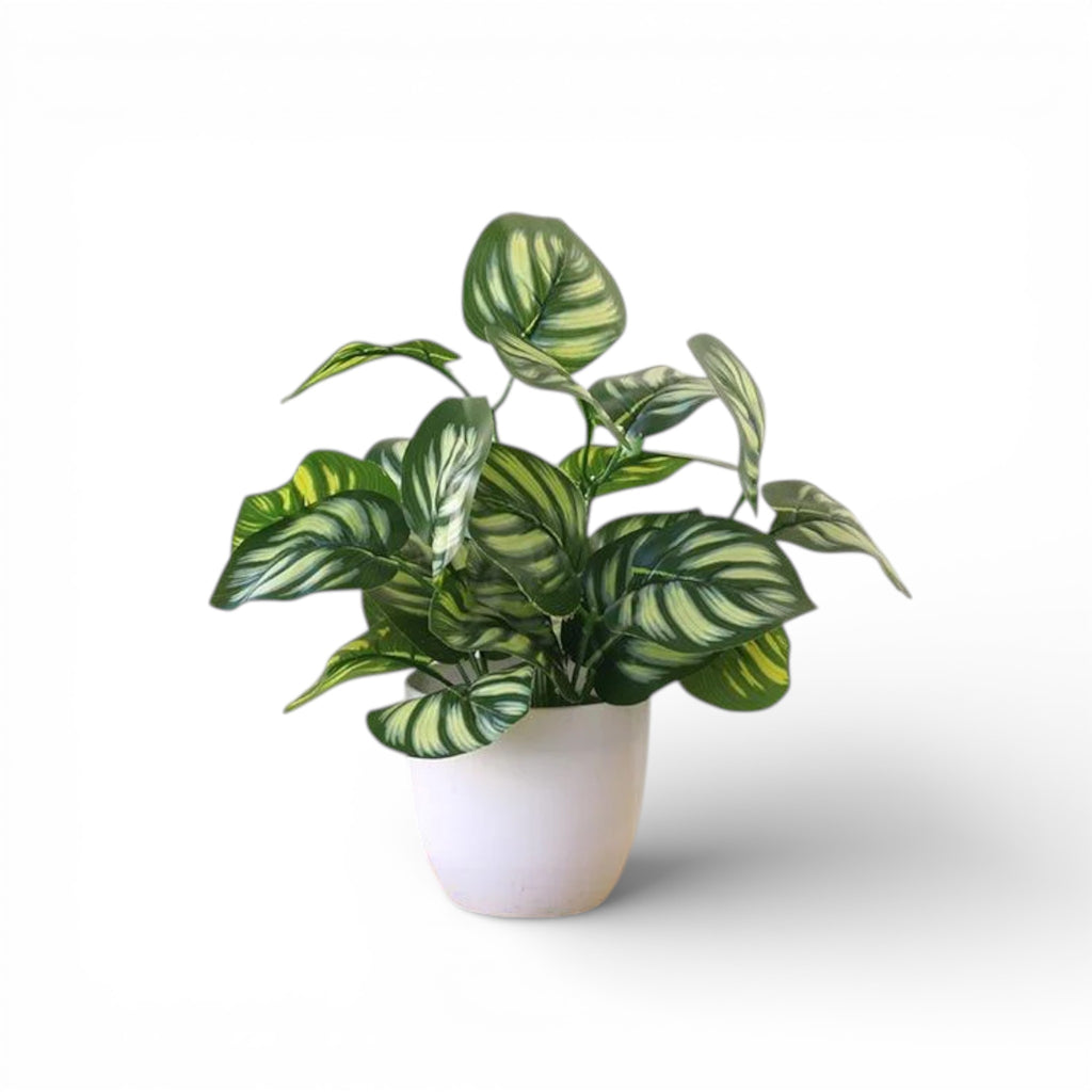 Pure Leaf Décor™