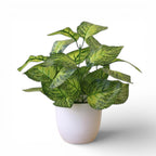 Pure Leaf Décor™