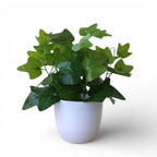 Pure Leaf Décor™